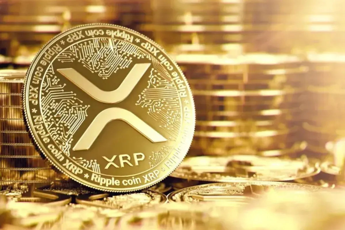 Raih Bonus Melimpah! 5 Aplikasi Crypto Terbaik dengan Fitur Referral
