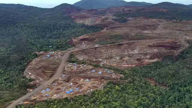 Tambang Pulau Indonesia Timur: Ancaman Setelah Tragedi Raja Ampat?