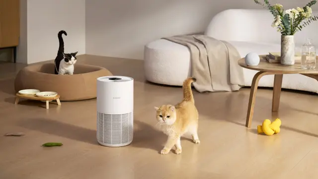 Xiaomi Smart Pet Air Purifier: Ulasan Lengkap, Filter Awet & Mudah!